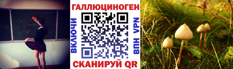 Галлюциногенные грибы Psilocybe  закладки  Трёхгорный 